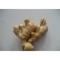 Keep Fresh Spicy And Air Dried Ginger